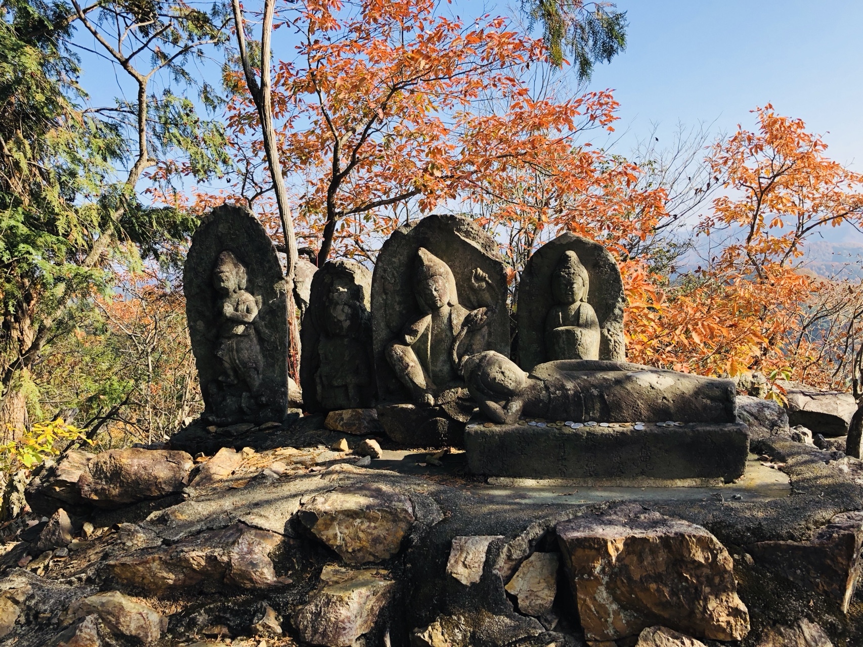 崖山 両 足利 市