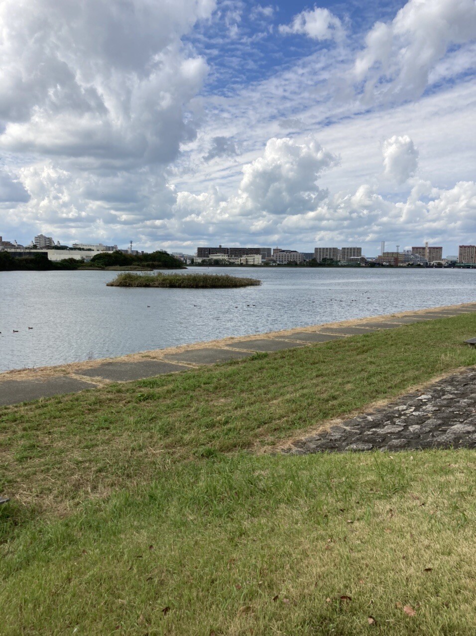 福岡市東区の多々良川河川敷でのウォーキン あいさんさんのモーメント Yamap ヤマップ