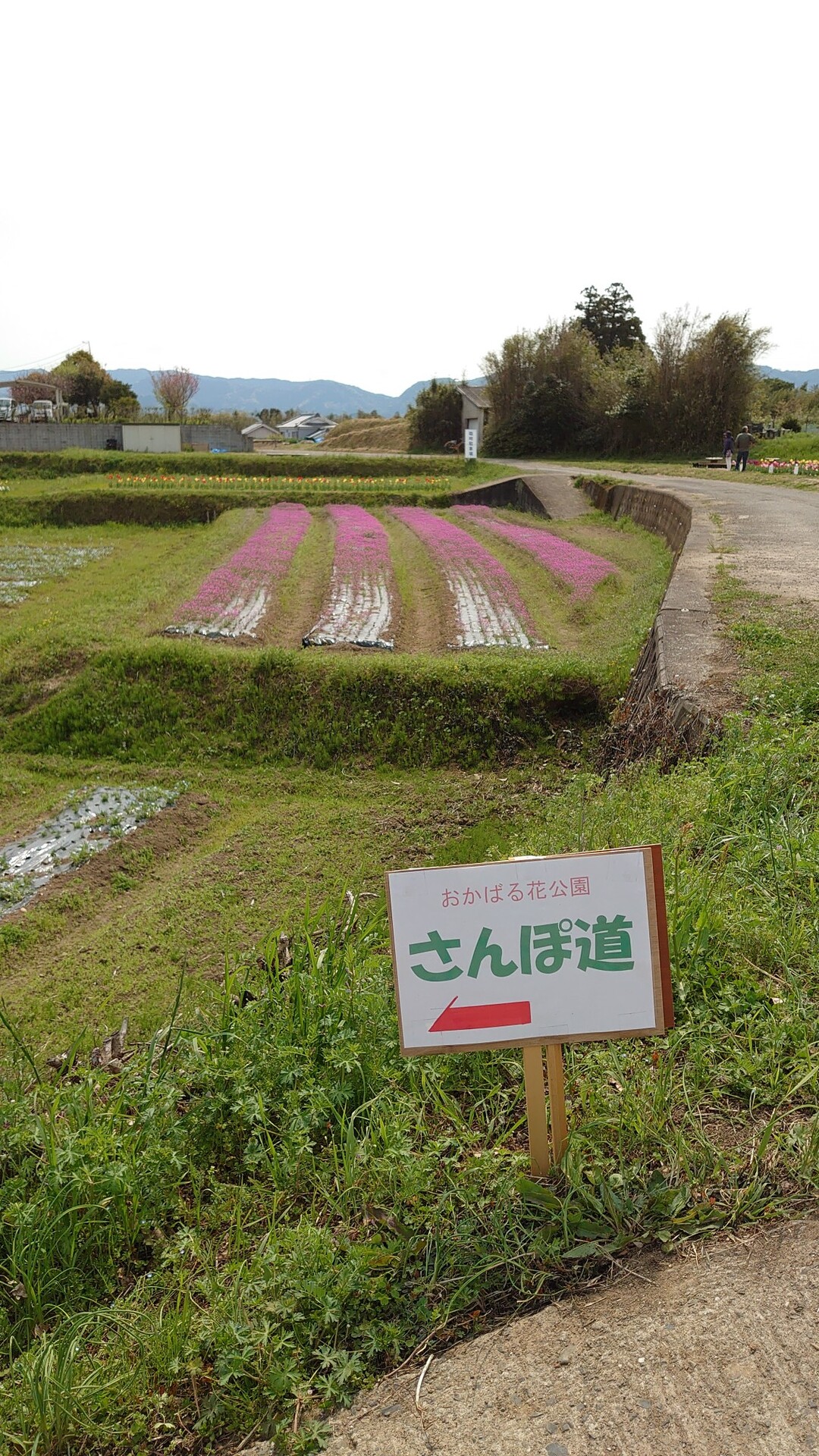 大分市 高尾公園から岡原花公園散策 ピロリン さんの大分市の活動日記 Yamap ヤマップ