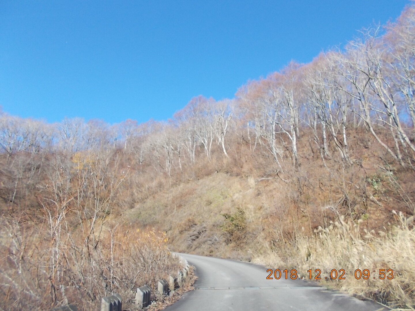 白山展望台 西山の林道白木峠線から見る白山の絶景 クロスカントリー競技場 たくさんの取立山の活動日記 Yamap ヤマップ