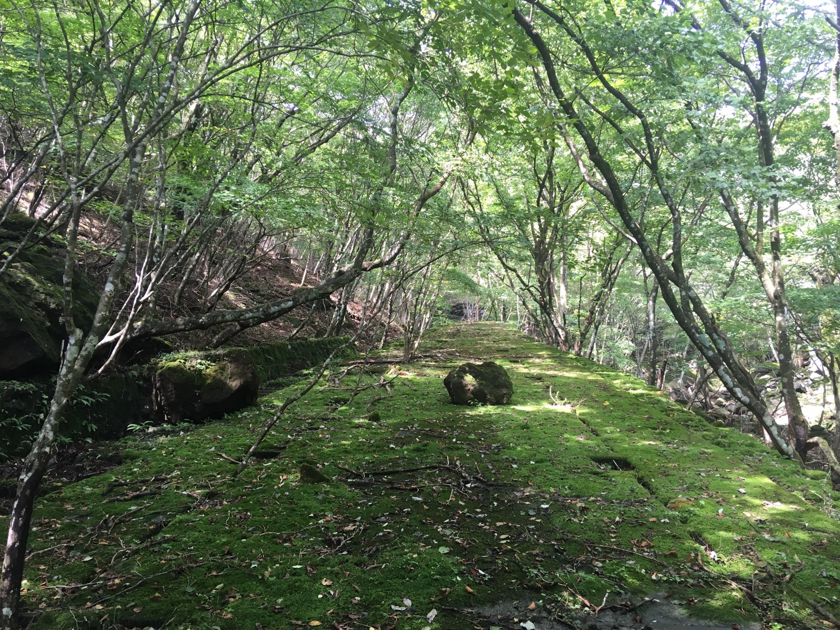 赤城山鋼索鉄道を辿りサントリービアホールへ 今日ちゃんさんのヤマノススメ巡礼マップ 赤城山 地蔵岳 の活動データ Yamap ヤマップ