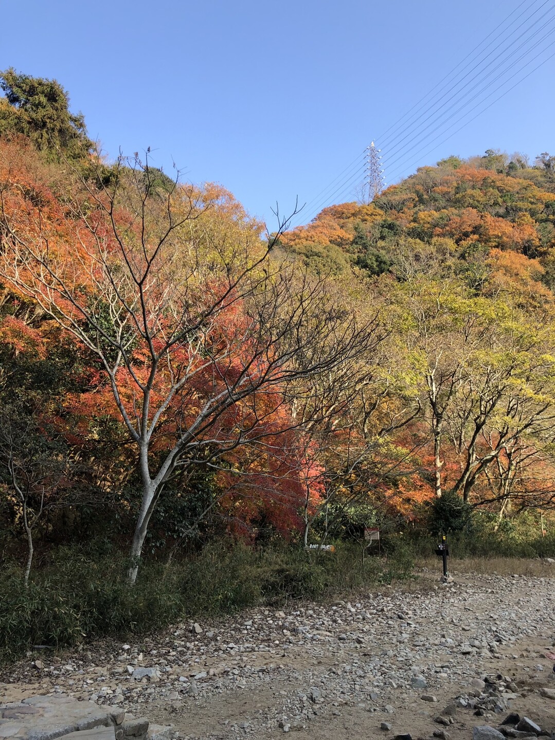 須磨浦公園から摩耶山まで 六甲全山縦走路 トレー二ング やっちゃんさんの六甲山 長峰山 摩耶山の活動日記 Yamap ヤマップ