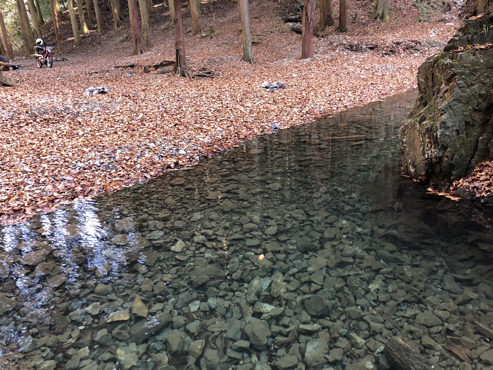 関西百名山 能勢妙見山をのんびりデートハイク Rikoさんの能勢妙見山 歌垣山 天台山の活動データ Yamap ヤマップ