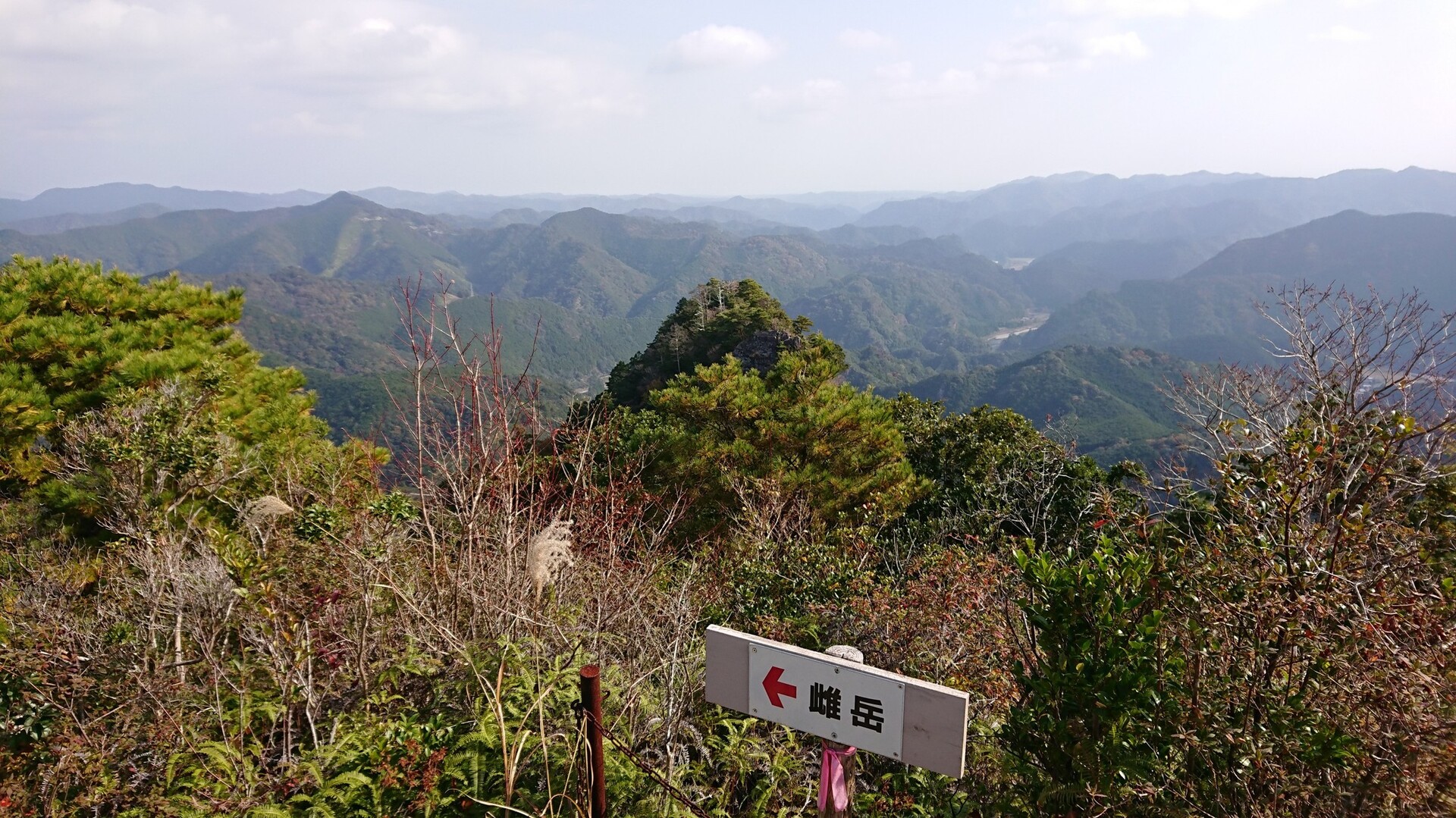 嶽の森登山 / 池田光伸さんの古座川（三尾川橋〜古座橋）の活動データ YAMAP / ヤマップ