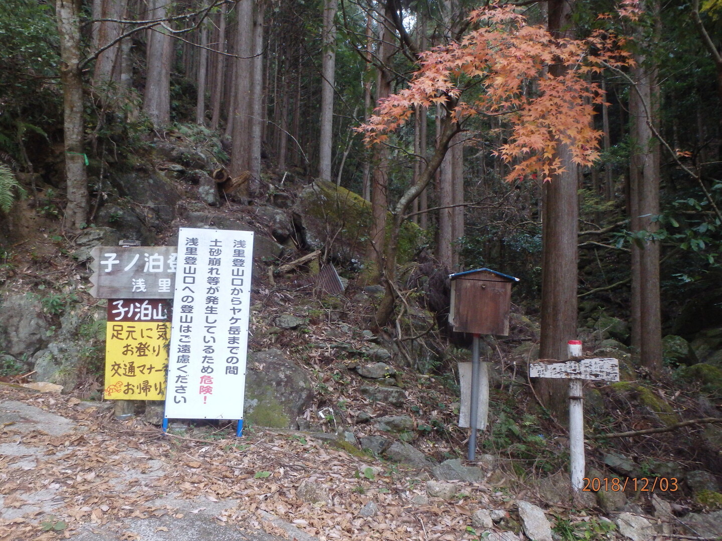 初冬の子ノ泊山を浅里側登山口から登る / もとさんの子ノ泊山の活動データ YAMAP / ヤマップ