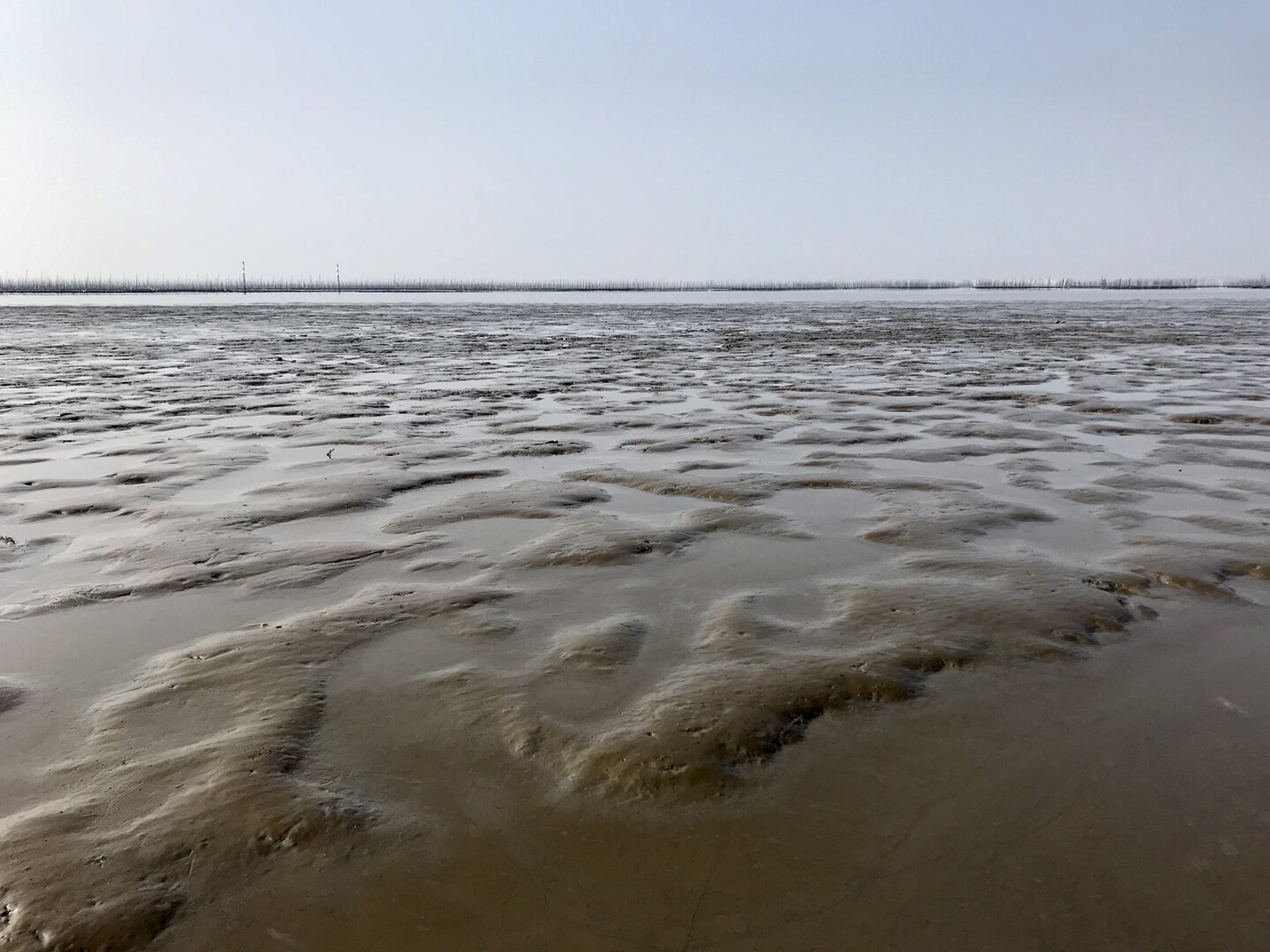 水郷柳河へ ゆりさんの九州オルレ みやま 清水山コースの活動日記 Yamap ヤマップ