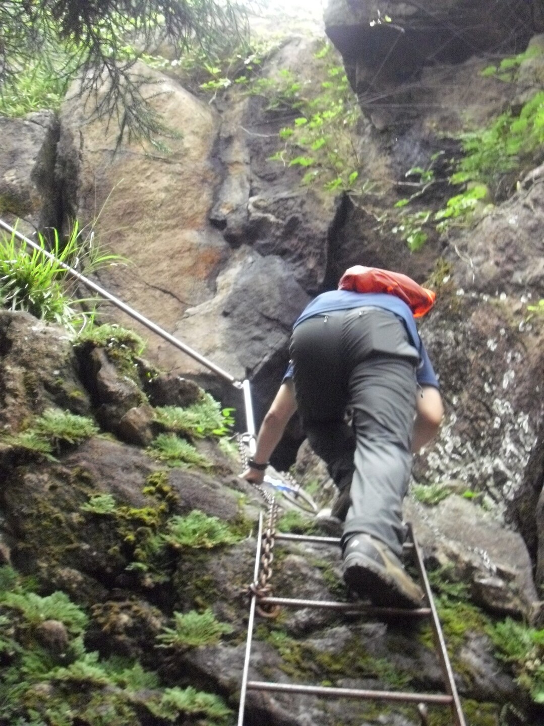 若杉山 ゆるキャンプ2days ぐっさんさんの宝満山 三郡山 若杉山の活動日記 Yamap ヤマップ