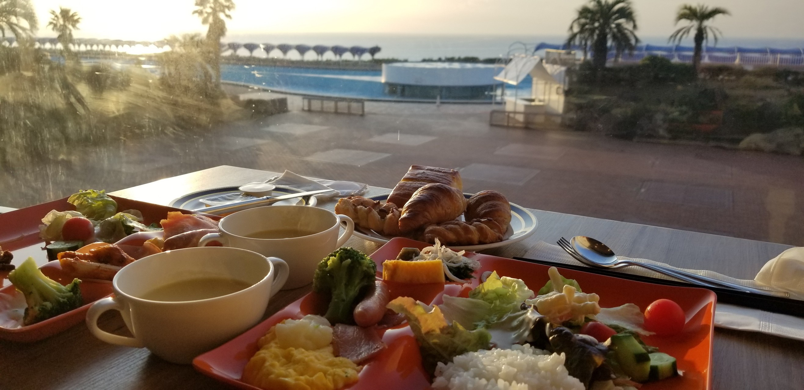 高尾山 6号路 4号路 リフト ソフィーさんの高尾山 陣馬山 景信山の活動日記 Yamap ヤマップ