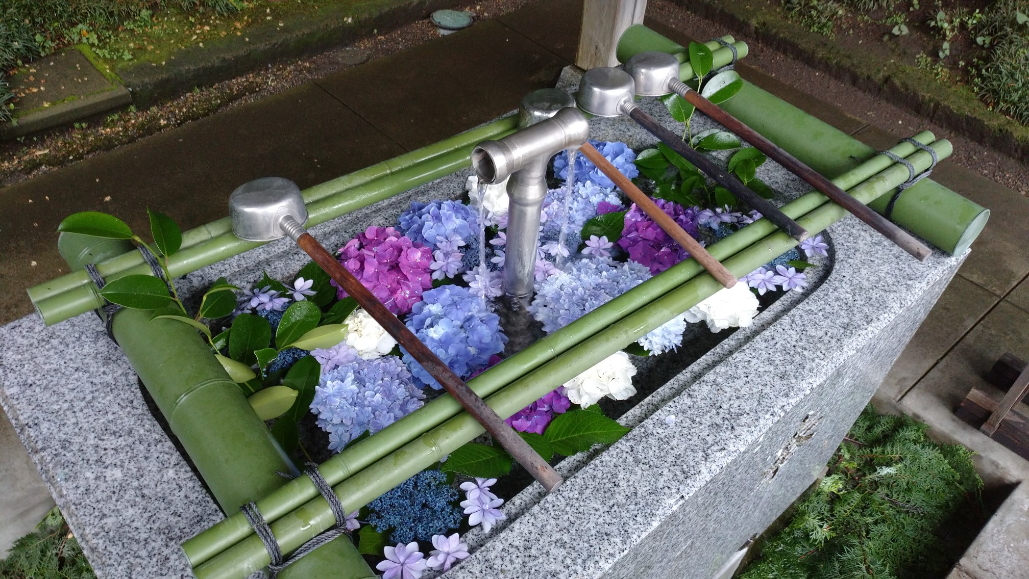 芳賀天満宮で紫陽花を 三角点も スギサンさんのウォーキングの活動データ Yamap ヤマップ