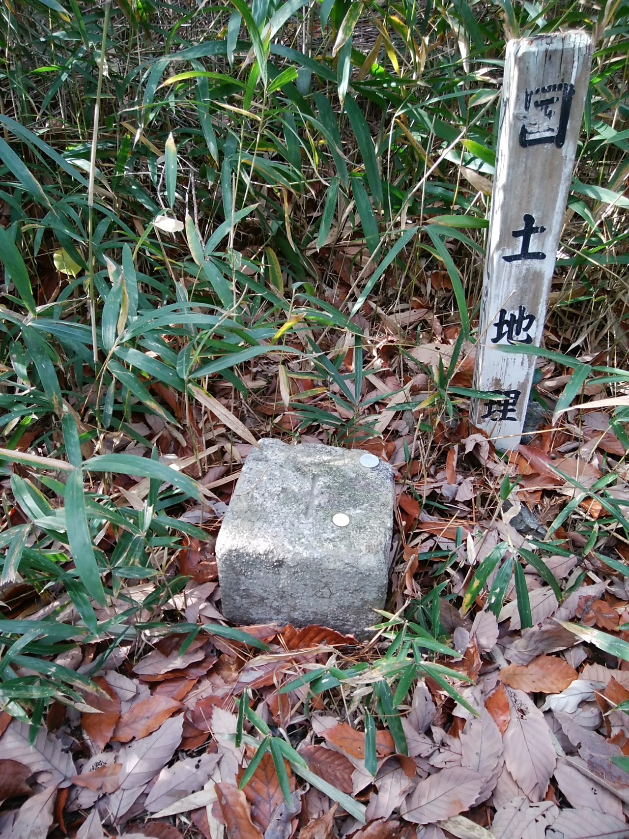 遥照山に加賀池から登頂 / hitoshiさんの遙照山の活動日記  YAMAP 