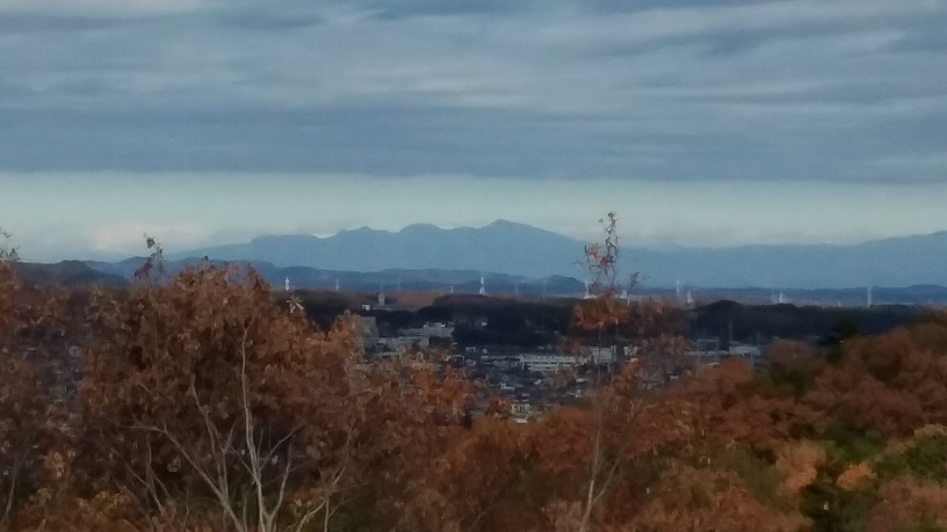 天覧山 を求めてひと歩き もっきーさんの加治丘陵 入間市 の活動日記 Yamap ヤマップ