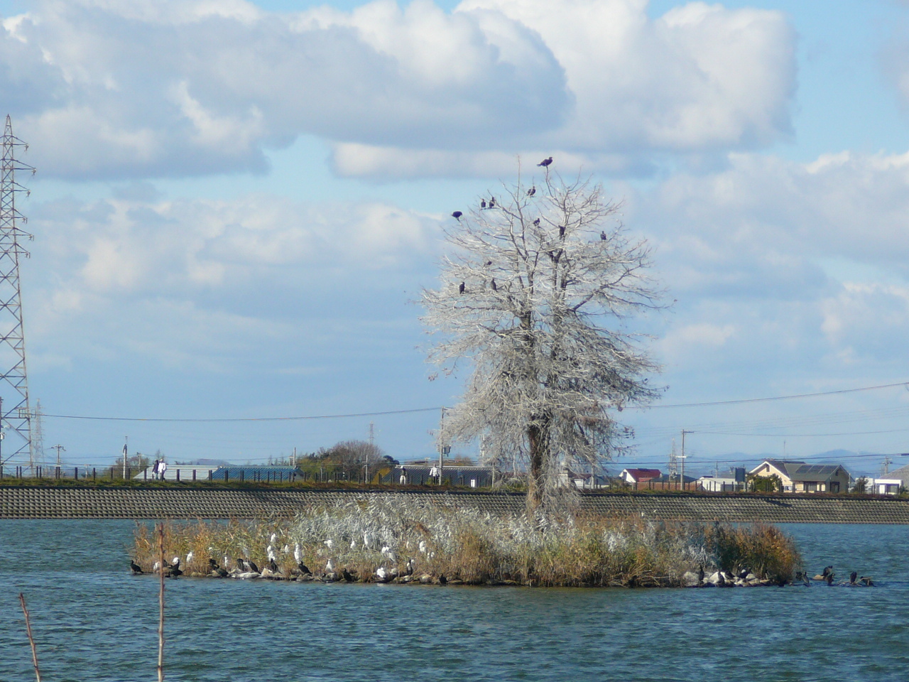 兵庫県最古のため池 天満大池を巡るウオーキング Toshiさんの明石市 加古川市 高砂市の活動日記 Yamap ヤマップ