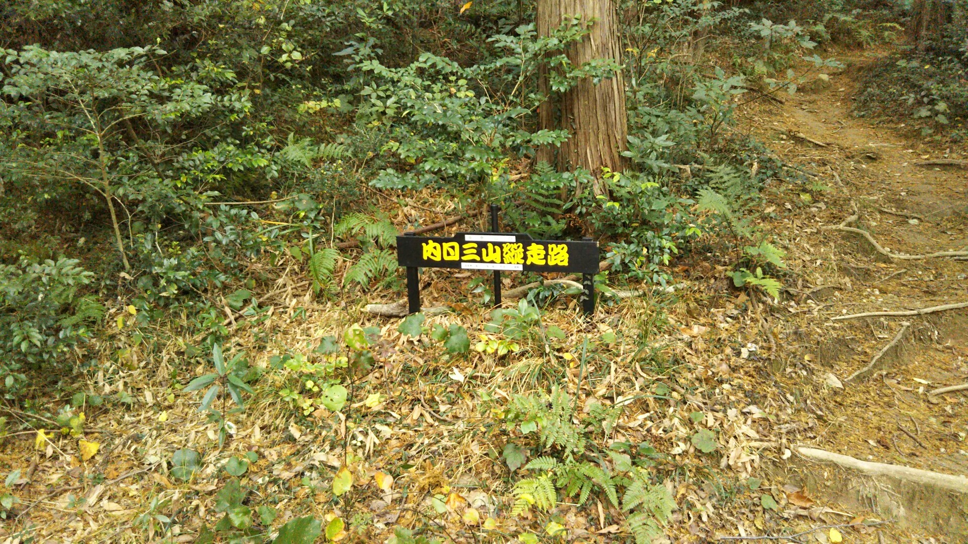 沖ノ島 今日こそはと 登る竜王山 季語の無い俳句になっても た Yamap ヤマップ