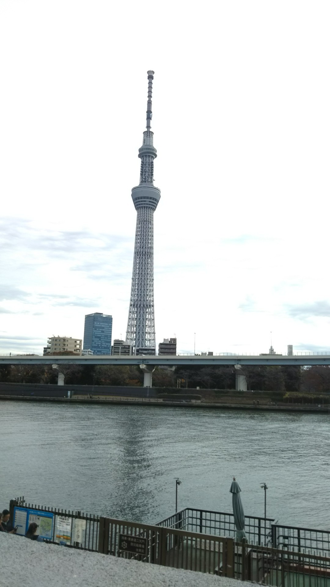 上野公園から浅草 スカイツリーまでウォーキング ヒロちゃん3さんの東京都23区 中央エリアの活動日記 Yamap ヤマップ