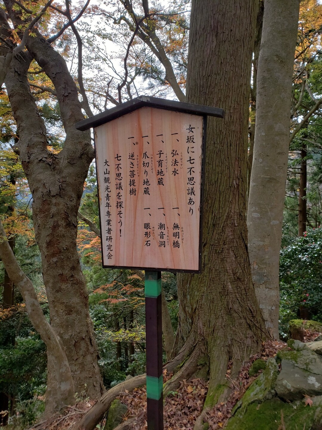 初の大山はメチャクチャ寒かった のんのんさんの大山の活動日記 Yamap ヤマップ