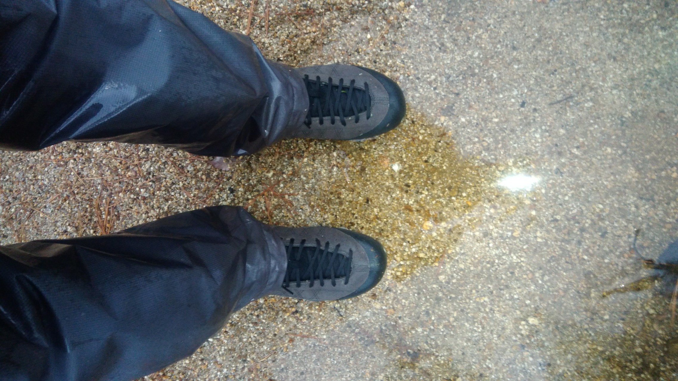 Stealth C4 デビュー Niziplusさんの湖南アルプス 太神山 堂山 の活動日記 Yamap ヤマップ