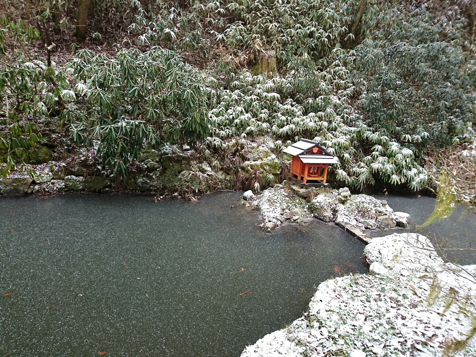 Vol 103 金剛山 イタトン W ひなさんの金剛山 二上山 大和葛城山の活動日記 Yamap ヤマップ