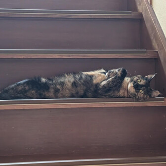 ゆき