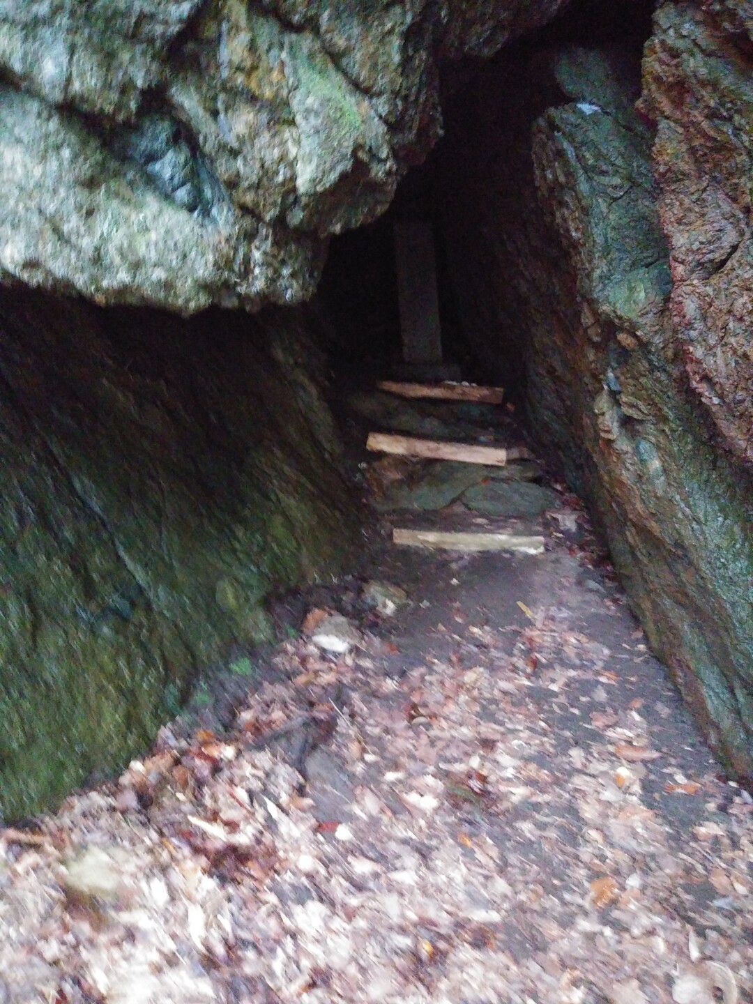 黒森山 初めてのクマとの出会い そしてお化けも出た ぴーたりんこさんの黒森山 朝島山の活動日記 Yamap ヤマップ