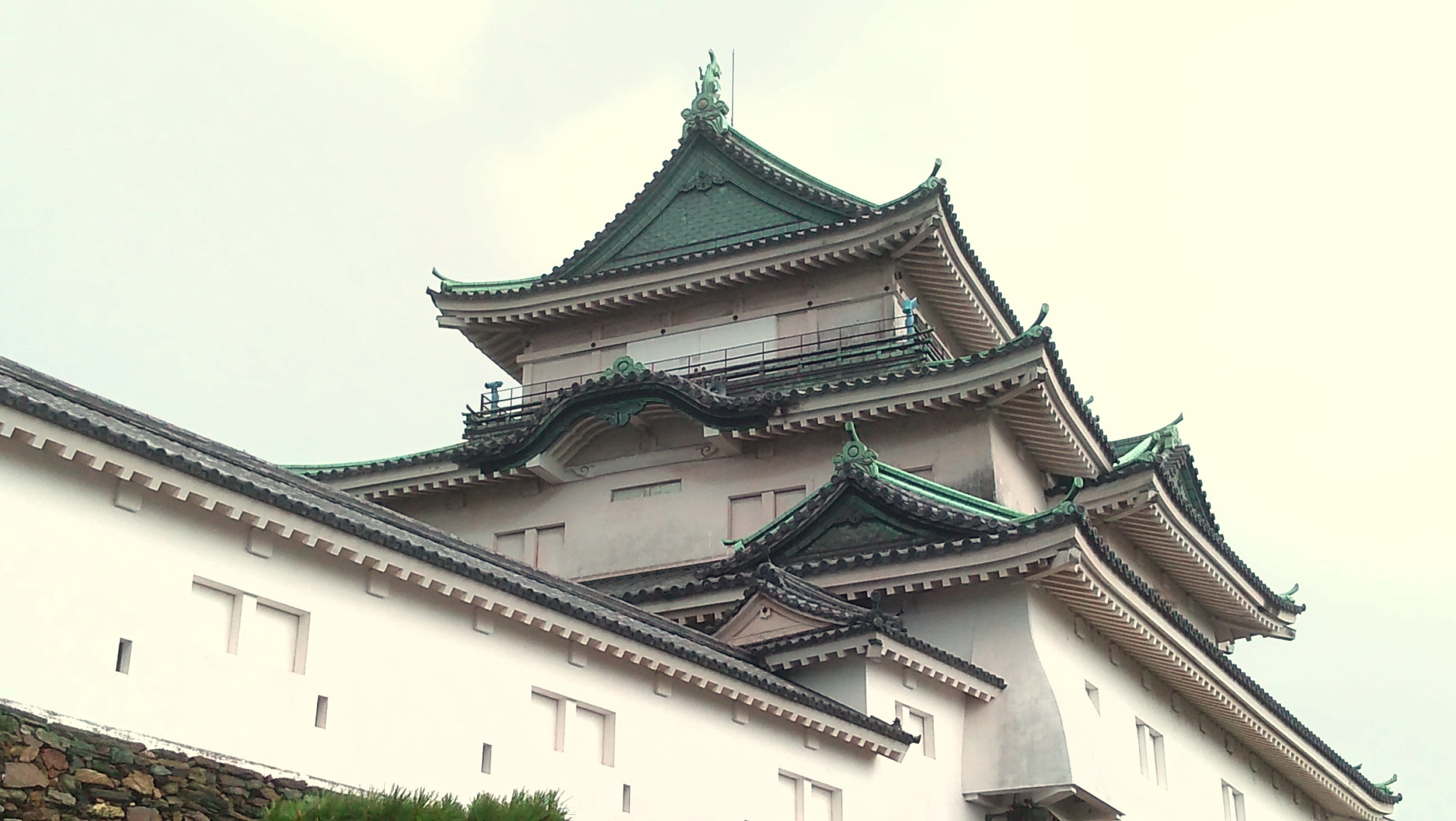 風雲 和歌山城 でマツケンサンバ Banchanvinさんの和歌山市の活動日記 Yamap ヤマップ