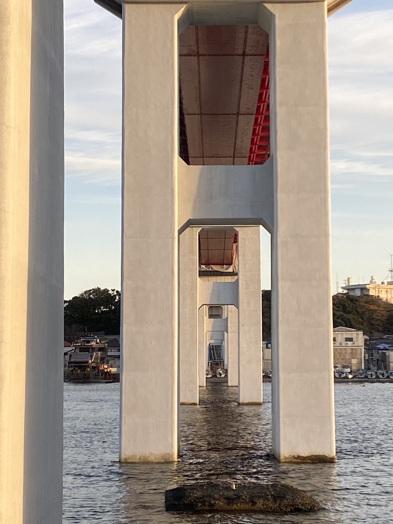 阿漕焼　福森比路志造　三島芋頭水指　銘洗心　前大徳大橋香林極め箱　VR7697B 阿漕焼 福森比路志造 三島芋頭水指 銘洗心 前大徳大橋