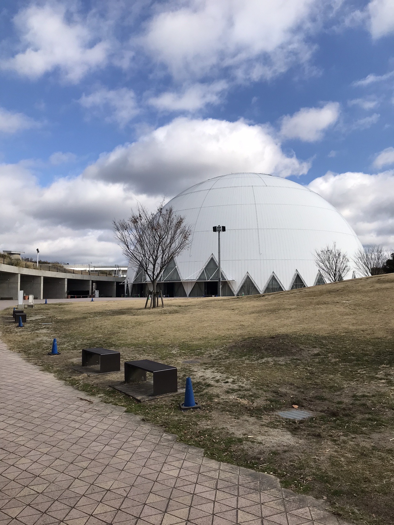 モリコロパークハイキング 道さんのウォーキングの活動データ Yamap ヤマップ