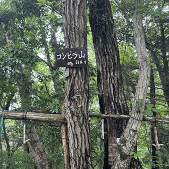 コンピラ山