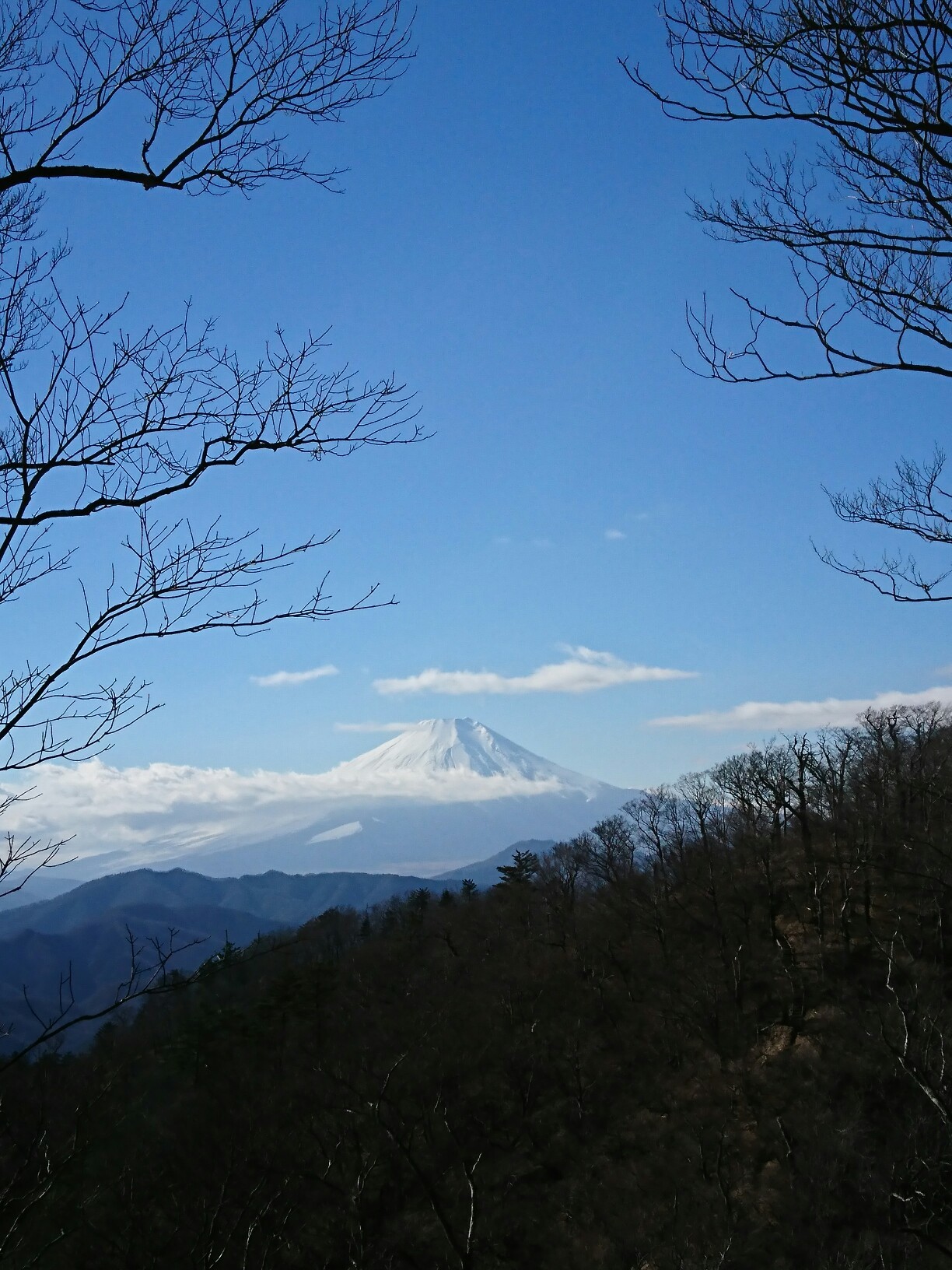 山梨百名山 大室山 Satoyamaさんの大室山 丹沢 畦ヶ丸山 菰釣山の活動データ Yamap ヤマップ