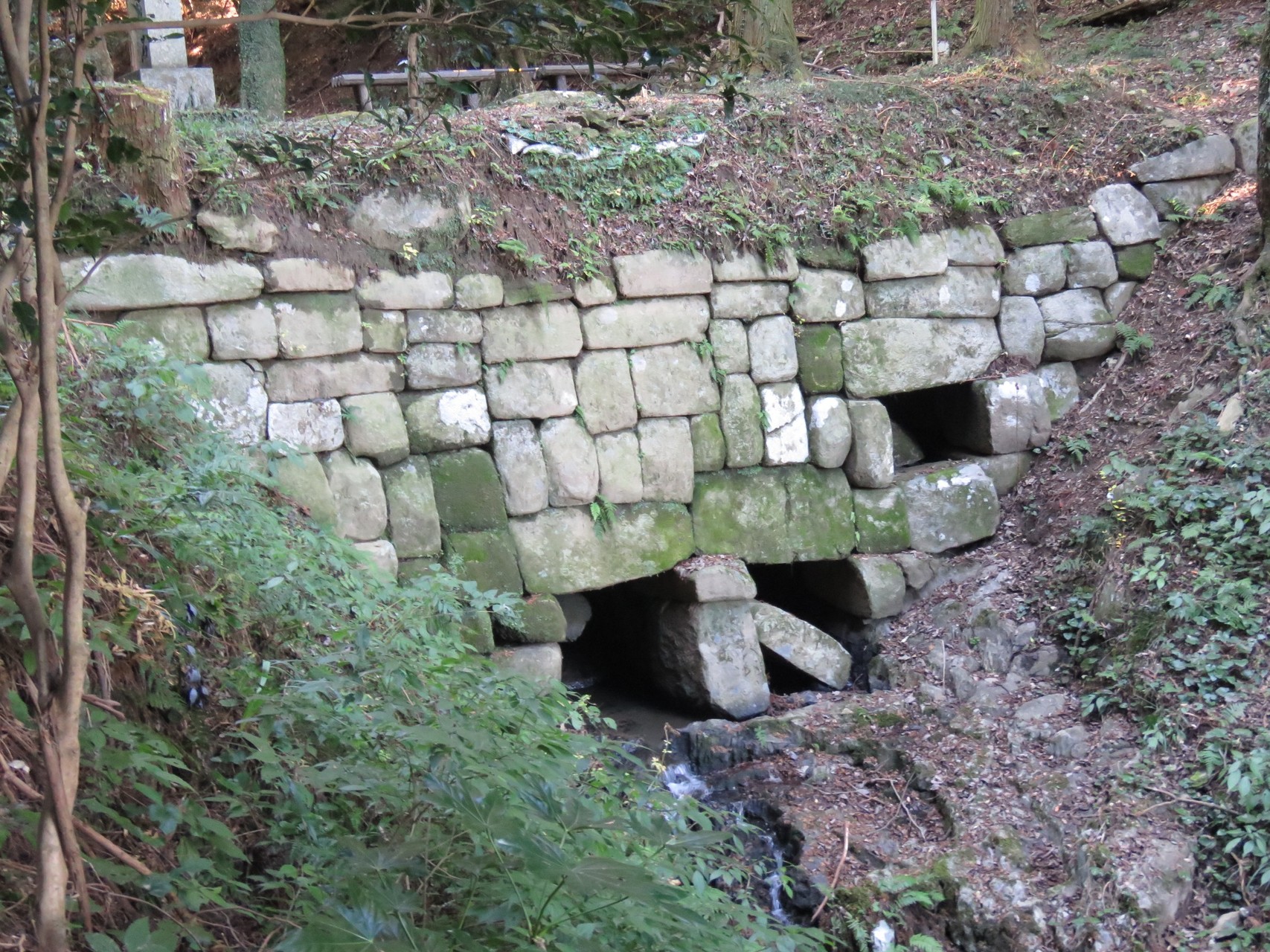 神籠石から雷山 井の浦山へ 山オタクさんの雷山 井原山の活動データ Yamap ヤマップ