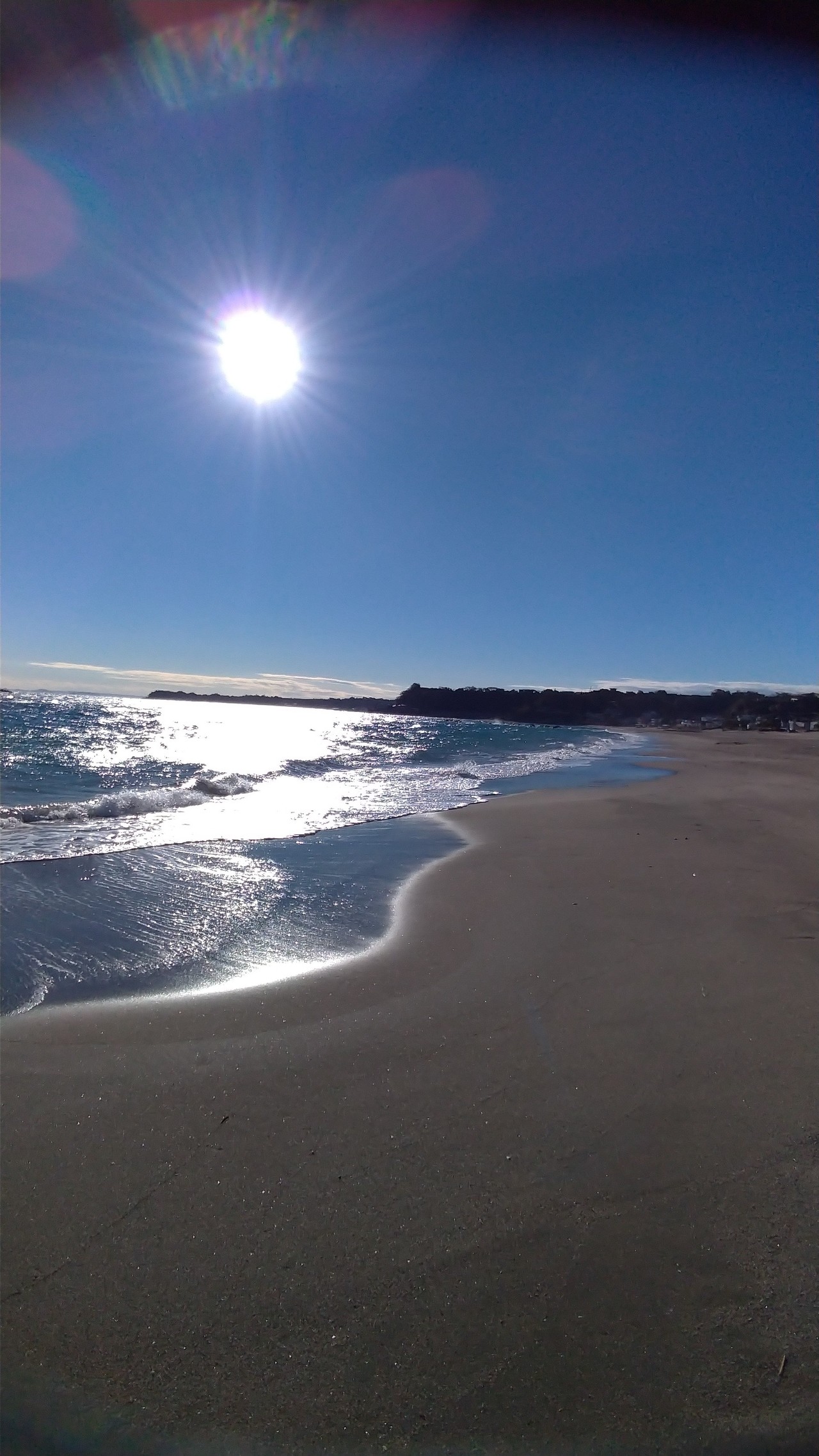 三崎 城ヶ島ウォーキング ドライブ まっちゃんさんの三浦市の活動データ Yamap ヤマップ