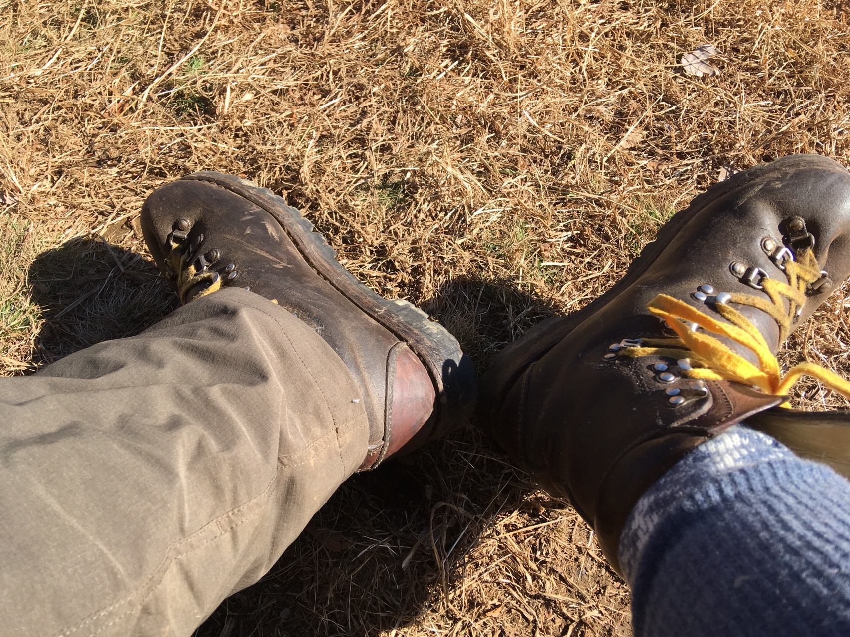 昔の愛用靴 で行く南アの展望台 寧比曽岳 筈ヶ岳 トミーさんの寧比曽岳 筈ヶ岳 出来山の活動日記 Yamap ヤマップ