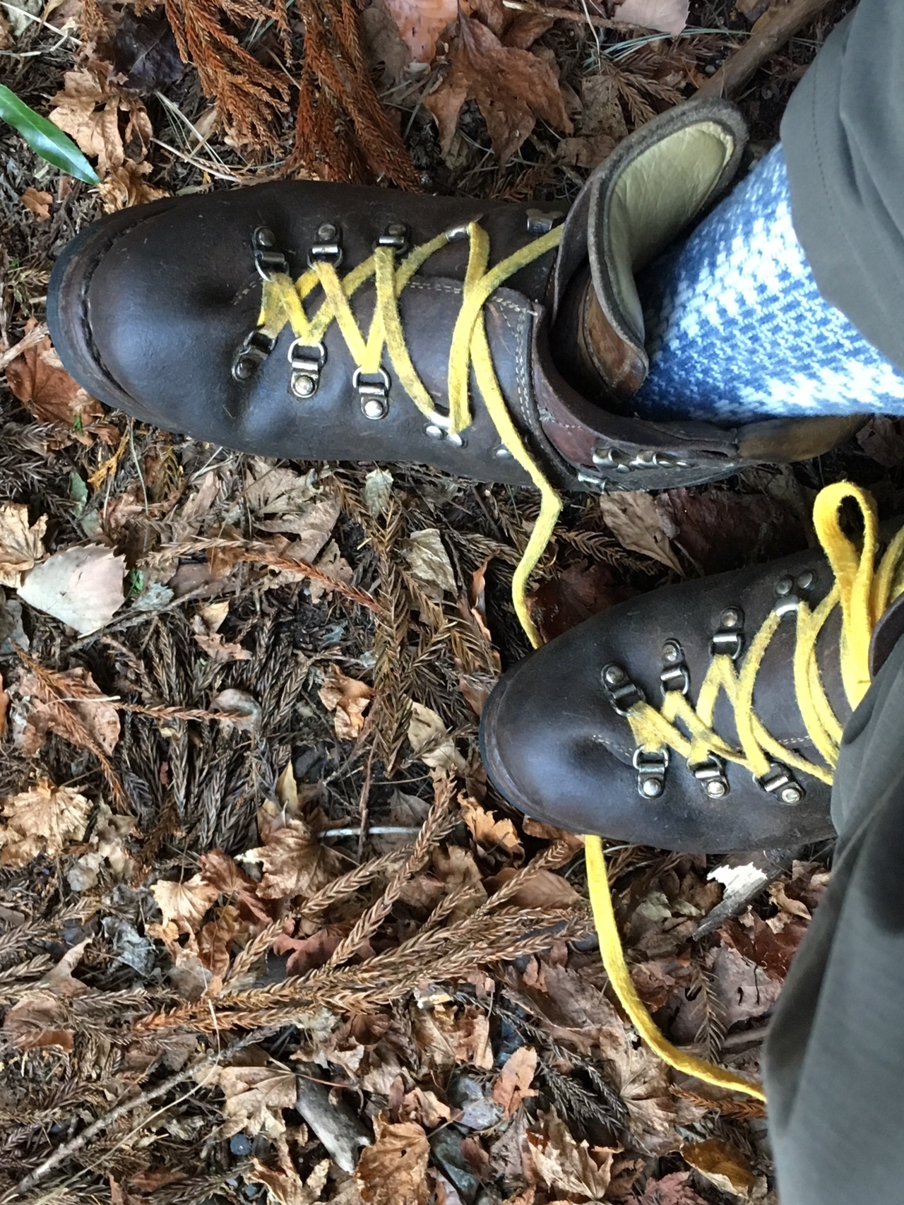 昔の愛用靴 で行く南アの展望台 寧比曽岳 筈ヶ岳 トミーさんの寧比曽岳 筈ヶ岳 出来山の活動日記 Yamap ヤマップ