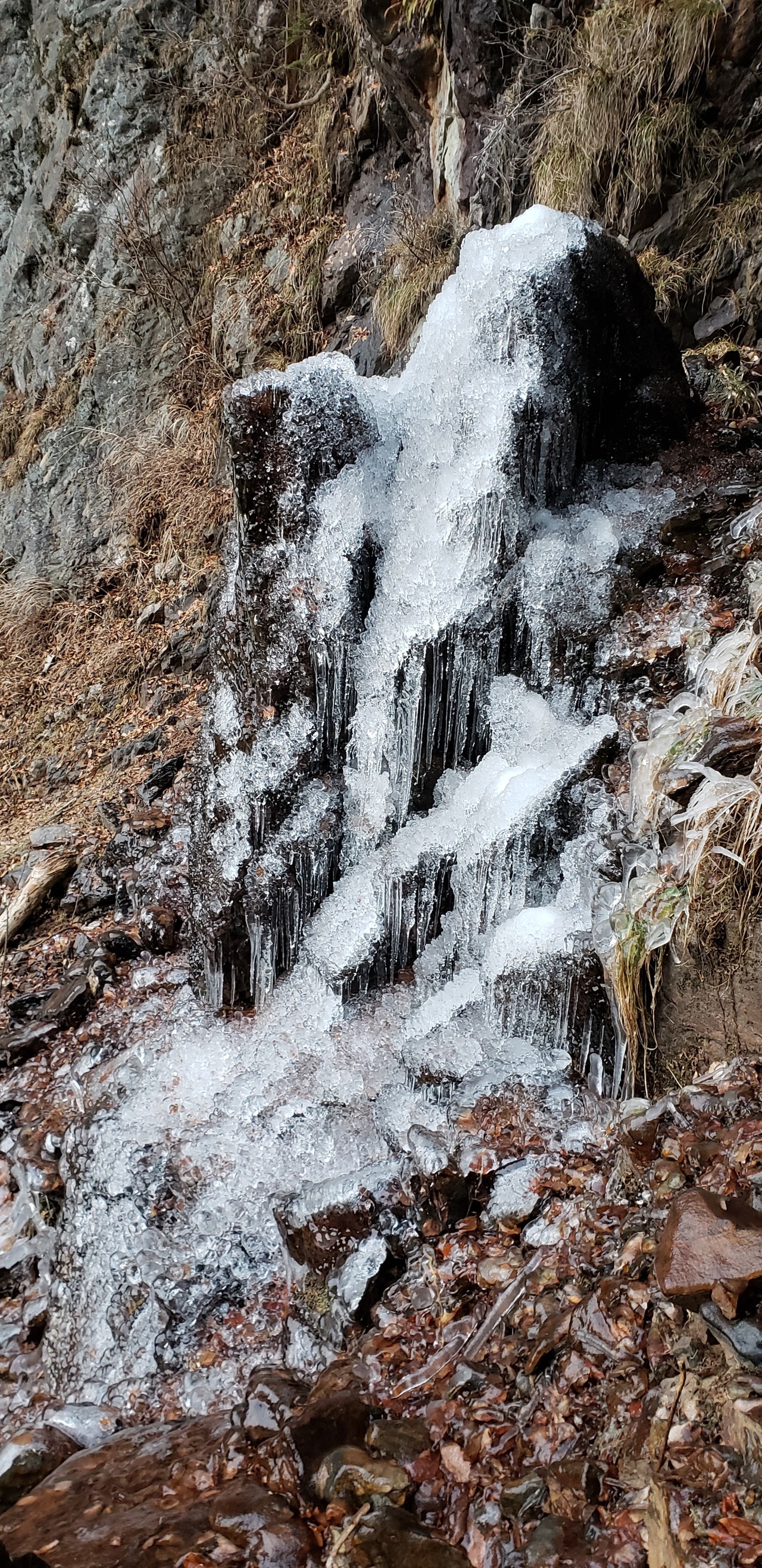 冬に登るべき山 大滝不動尊奥宮 棚横手山 甲州高尾山 ﾃｷｰﾗさんの甲州高尾山 山梨県甲州市 高宕山 源次郎岳の活動日記 Yamap ヤマップ