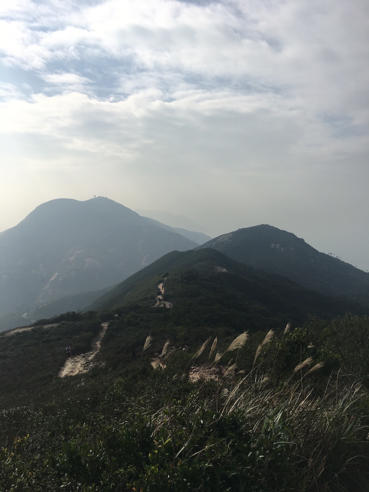 香港トレイル セクション8 ドラゴンズバック Shimoさんのドラゴンズ バックの活動日記 Yamap ヤマップ