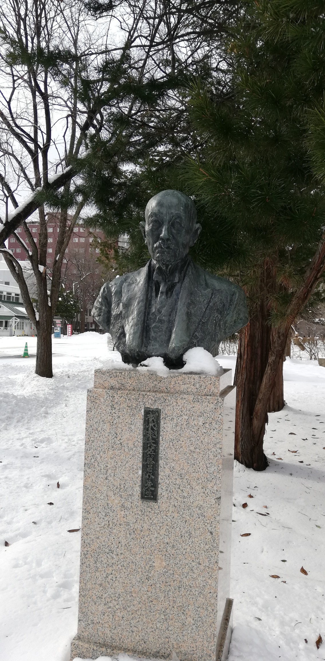 北大キャンパス 登山 ならぬ 徒参 かなぁ Sammyさんの札幌市の活動日記 Yamap ヤマップ