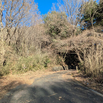 両崖山・仙人ヶ岳・石尊山 初めて林道に出た
路肩🅿️すれば山王山まで15分
たかちゃん真面目にここまで6時間
エラすぎー
(😮‍💨当たり前です！)