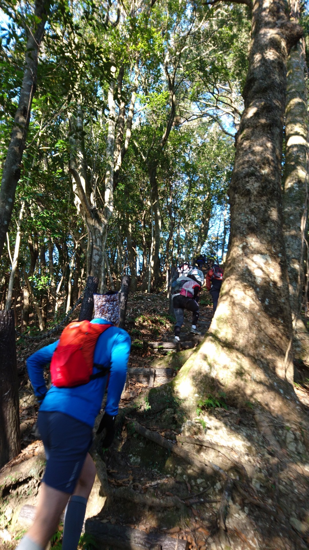 房総半島横断トレイル18 ぐっちゃんさんの Coast To Coast 房総半島横断18の活動データ Yamap ヤマップ