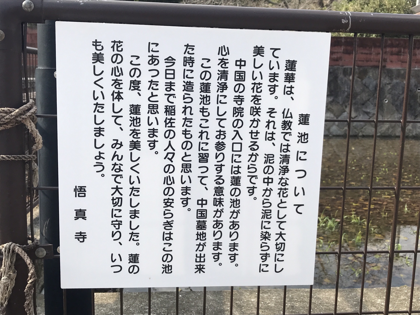 体力維持の為に稲佐山へ / ムサタカさんの長崎市の活動データ  YAMAP 