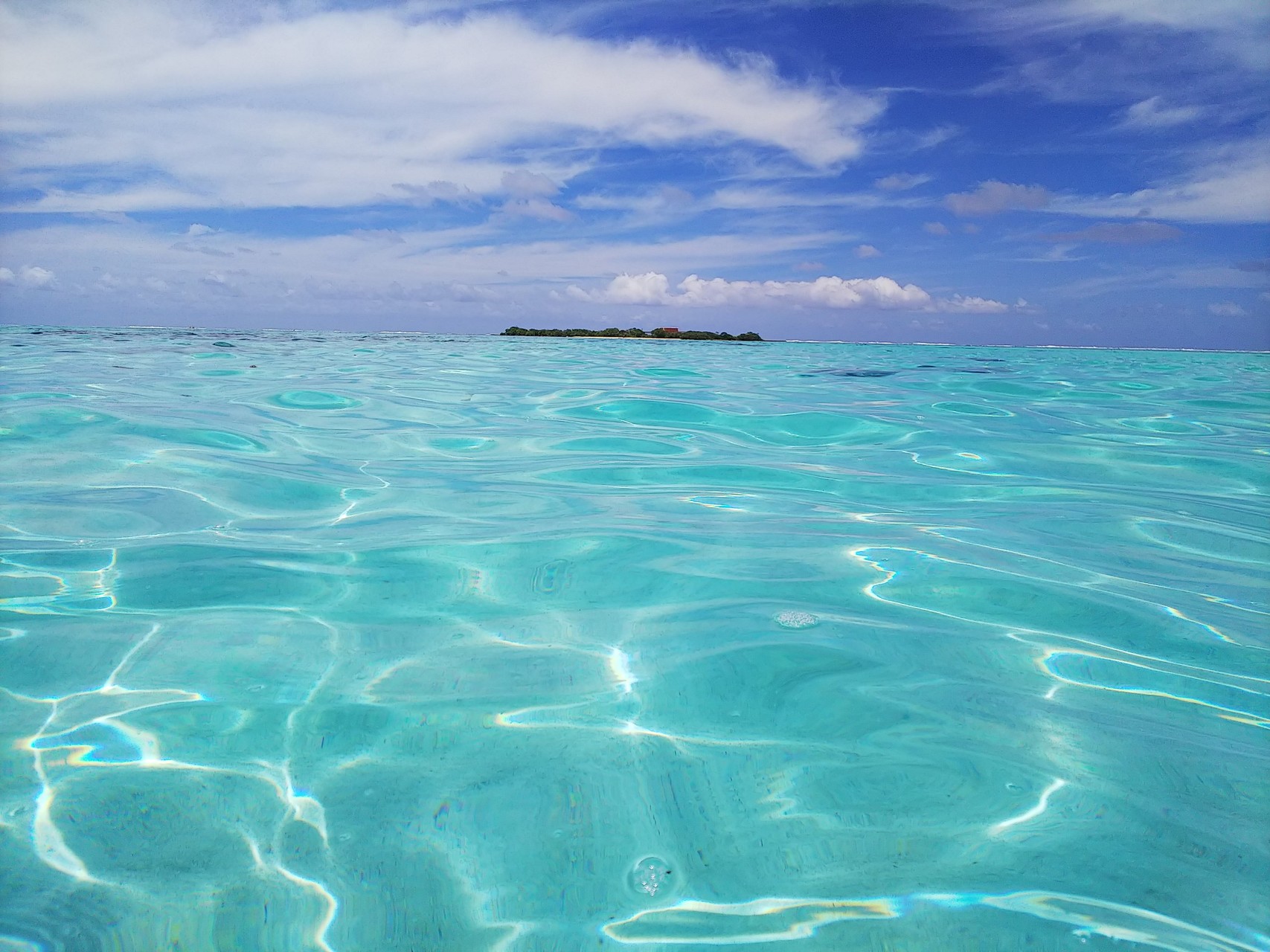 タヒチ モーレア島からの無人島ピクニック Kojiさんのアメリカン サモア国立公園の活動日記 Yamap ヤマップ