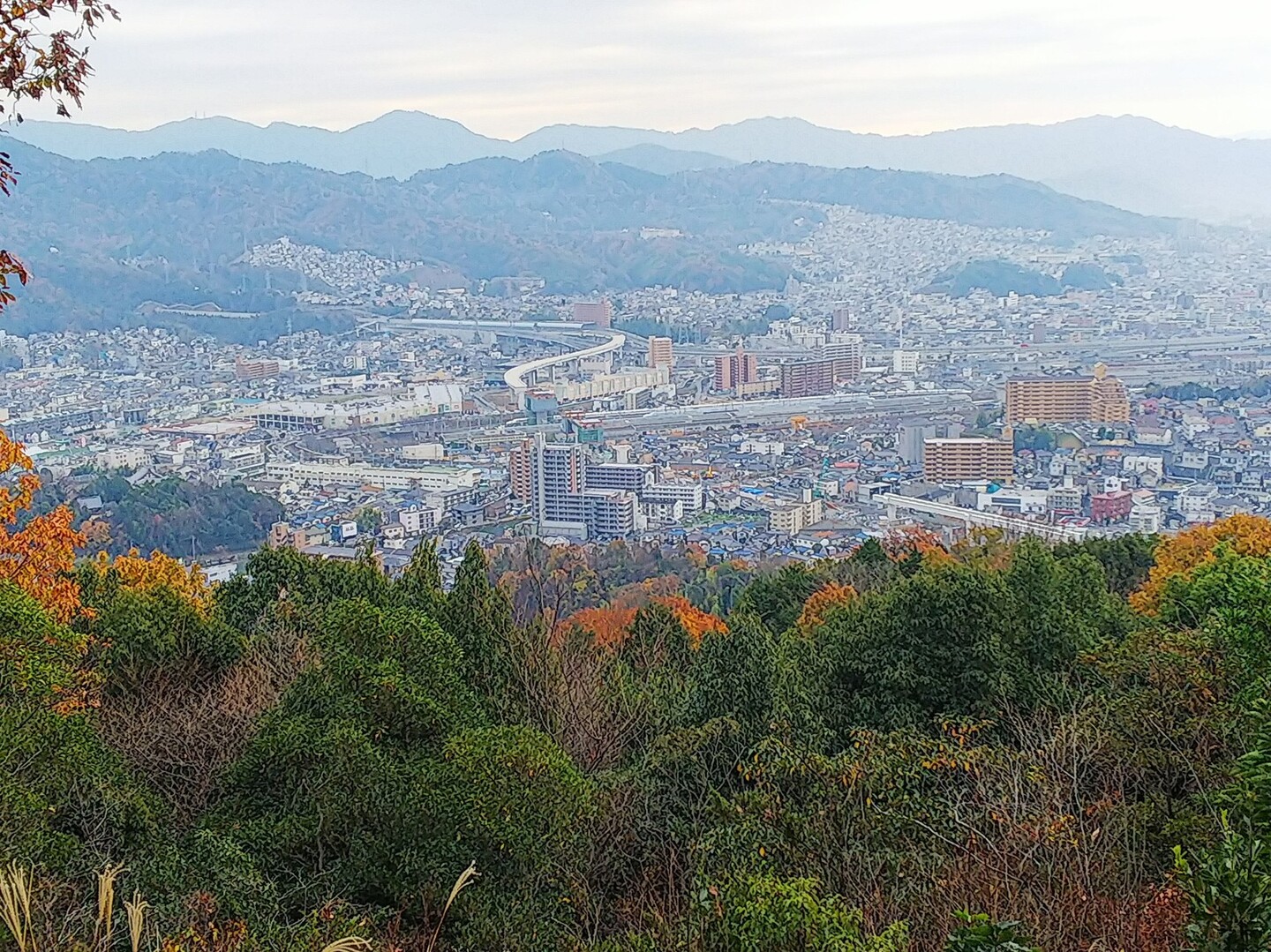 桜見して 牛田山 で土管探して神田山荘で忘年会 咲くsakuさんの牛田山 尾長山 二葉山の活動日記 Yamap ヤマップ