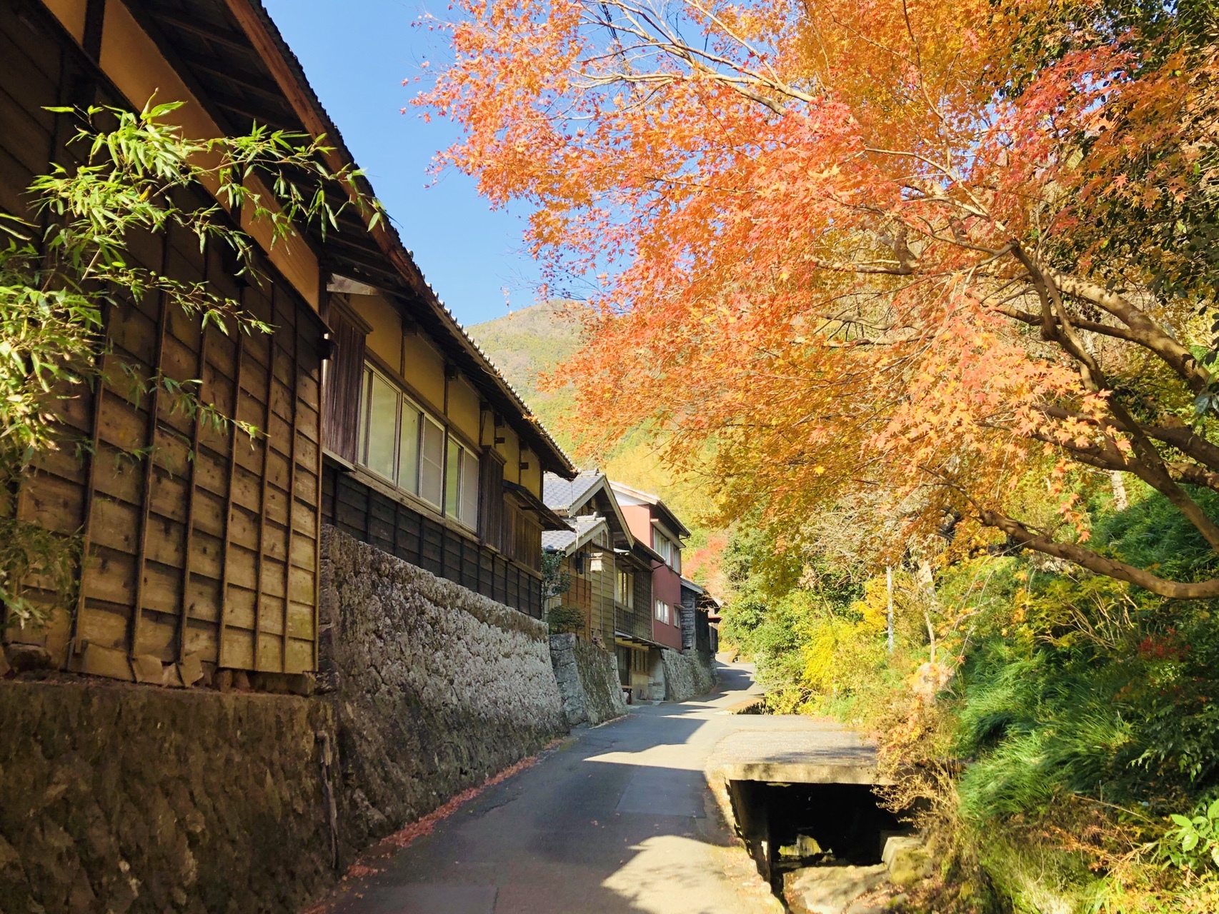 安倍川駅 朝鮮岩 丸子富士 満観峰 花沢の里 焼津駅 母上と軽登山 In 焼津 モニカさんの焼津アルプス 高草山 満観峰 花沢山 徳願寺山の活動日記 Yamap ヤマップ