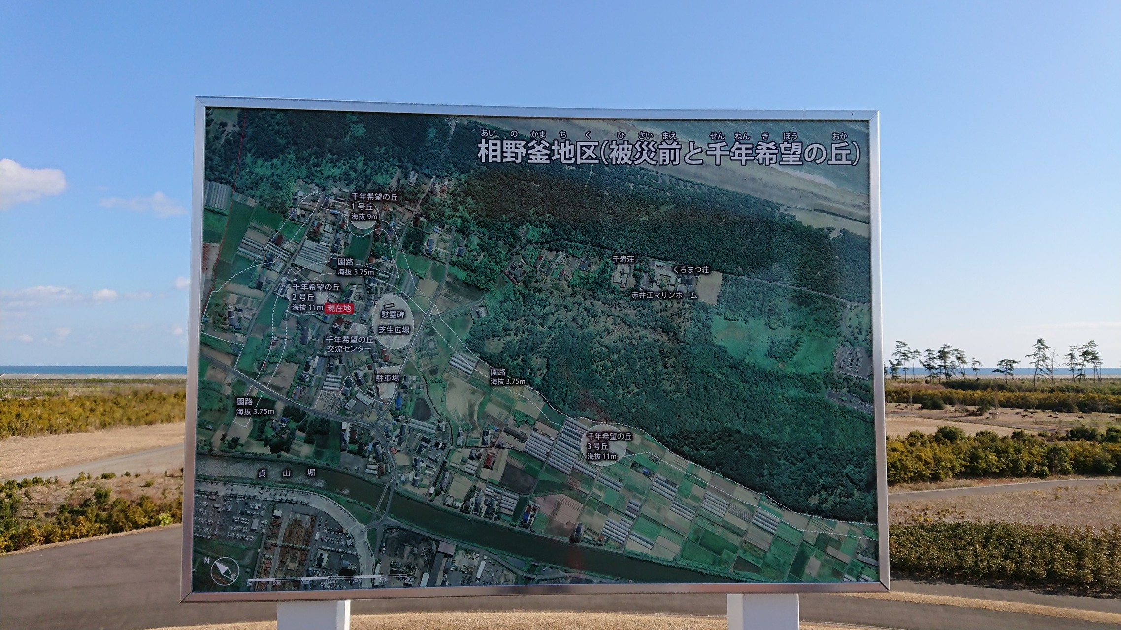 で千年希望の丘巡り ジンさんの岩沼市の活動日記 Yamap ヤマップ