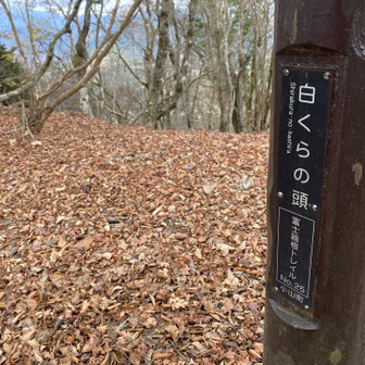 白くらの頭で折り返し