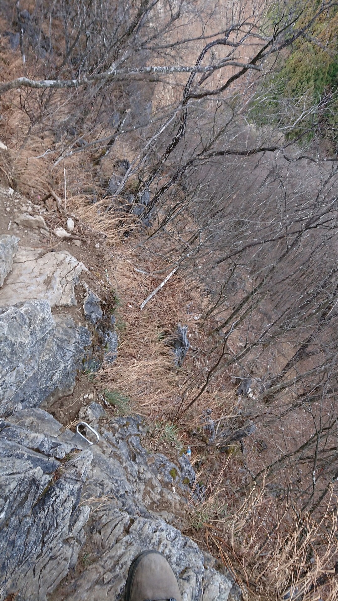 二子山 狂気のほう 上位クエスト 5 ソロ 破裂の銀行さんの両神山 諏訪山 二子山の活動日記 Yamap ヤマップ