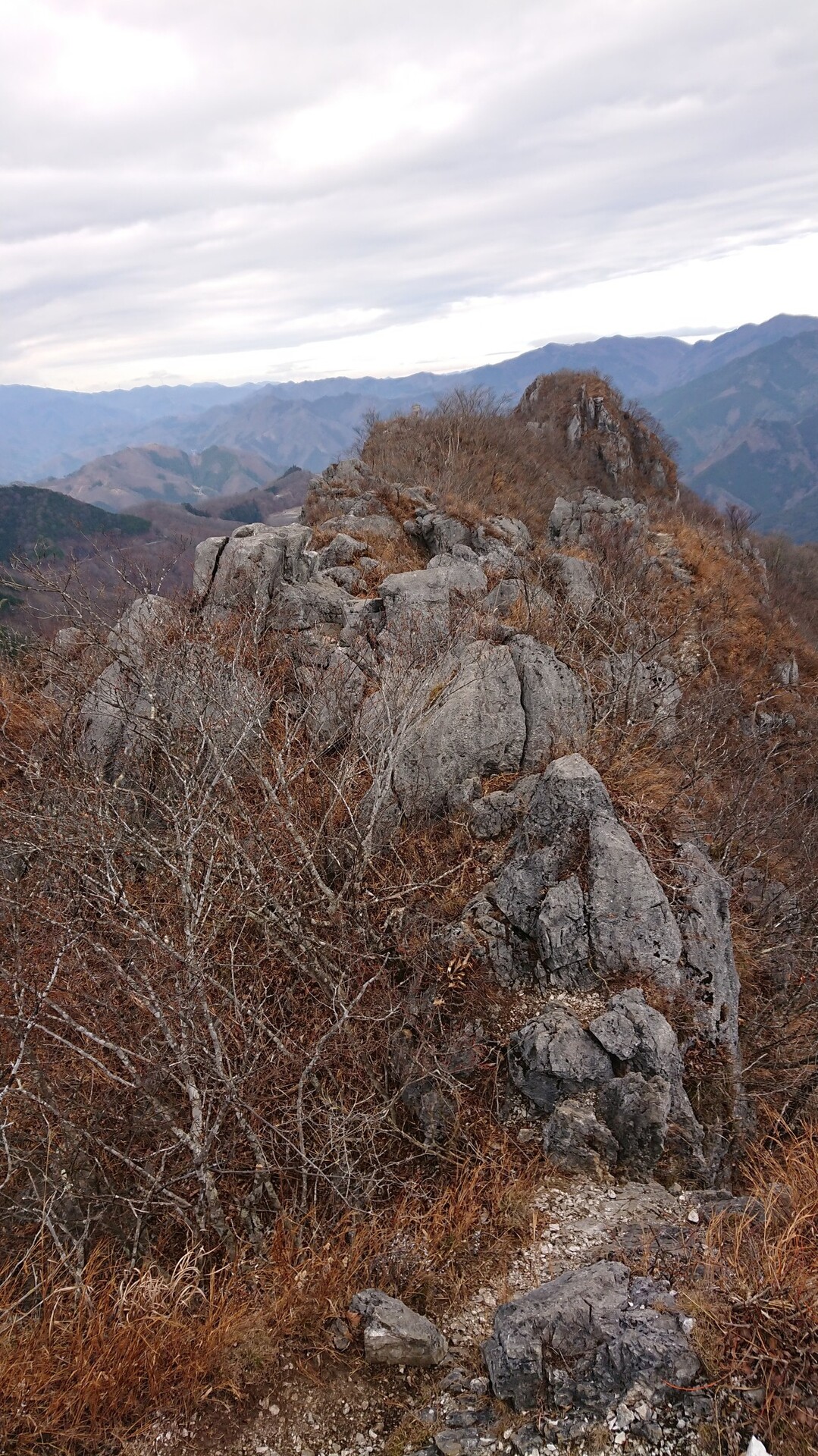 二子山 狂気のほう 上位クエスト 5 ソロ 破裂の銀行さんの両神山 諏訪山 二子山の活動日記 Yamap ヤマップ