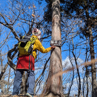 両崖山・仙人ヶ岳・石尊山 ３分岐からの右手(北東)の301峰は
⛰️藤平山でした