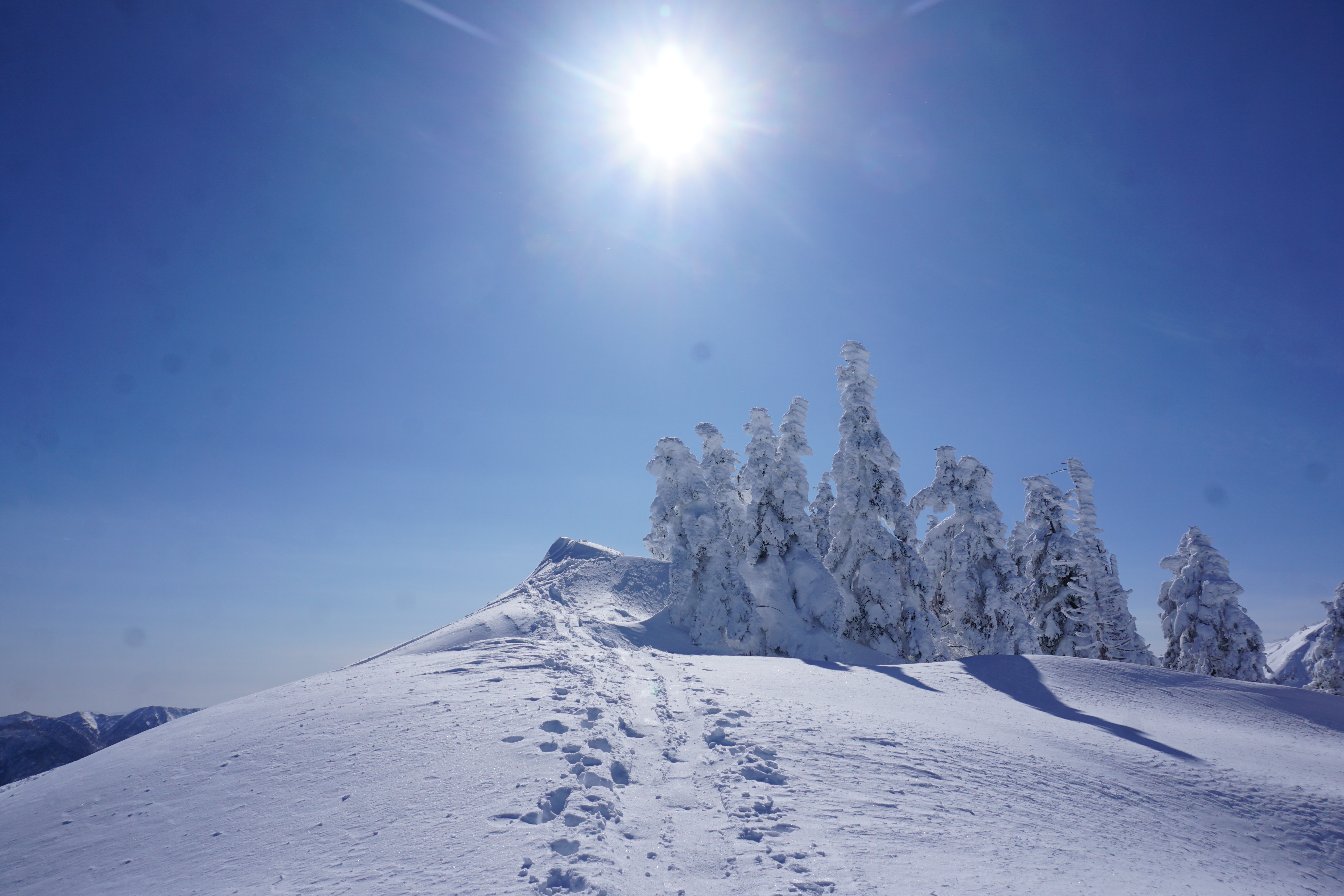 暖冬 それ何のこと ここ 神楽ヶ峰 2 030ｍ は雪たっぷり 02 03 情熱山脈 Passion Mountains 旧 北アルプス 槍穂高フリーク さんの苗場山 赤倉山 佐武流山の活動日記 Yamap ヤマップ