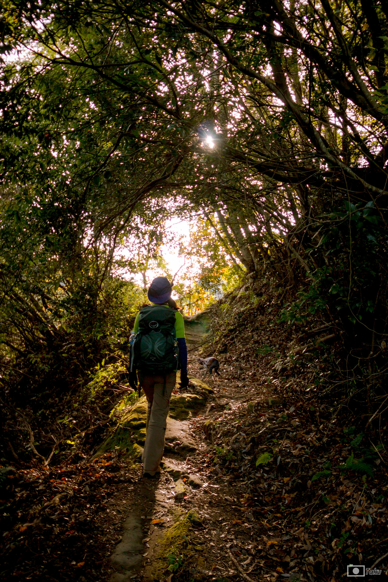 高宕山 三郡山 千葉deep Takuさんの高宕山 寂光山 大塚山の活動データ Yamap ヤマップ
