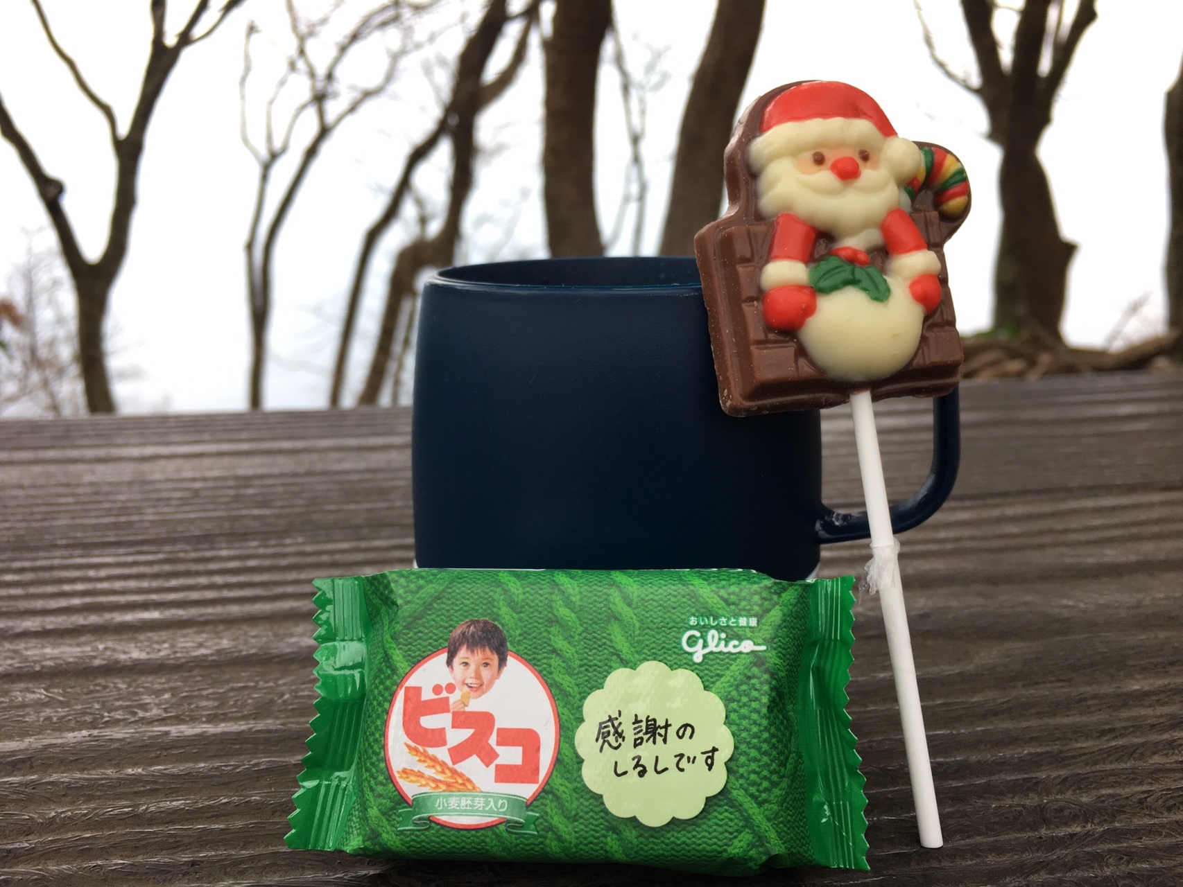 貸切の高崎山一気登山 とどちゃんさんの高崎山の活動データ Yamap ヤマップ