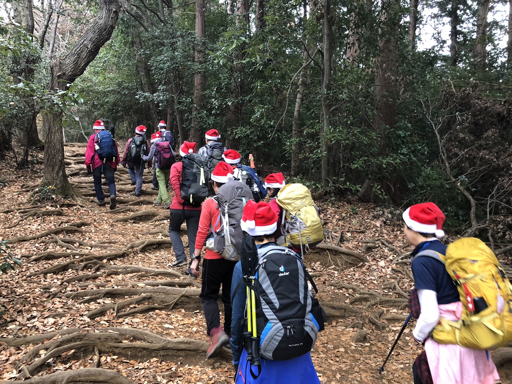 高尾山 クリスマス山行 タッコさんの高尾山 陣馬山 景信山の活動データ Yamap ヤマップ